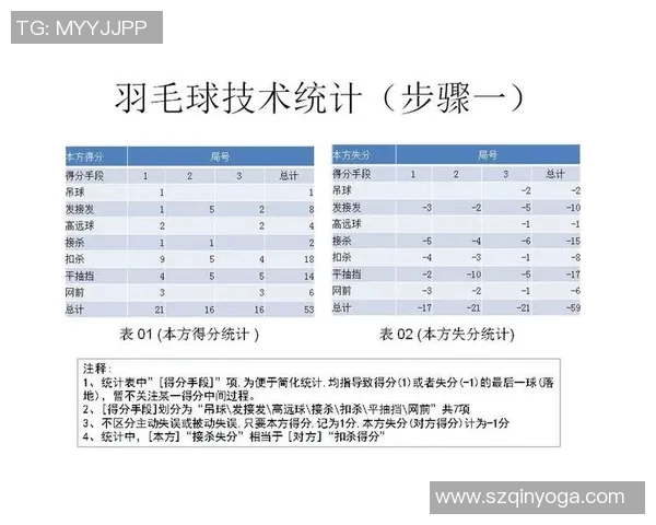 杭州羽毛球队整体压制策略深度剖析与技术解析 杭州羽毛球队整体压制策略深度剖析与技术解析