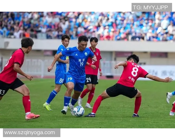 南京篮球队灵活性引发热议球迷与专家各执己见的背后故事